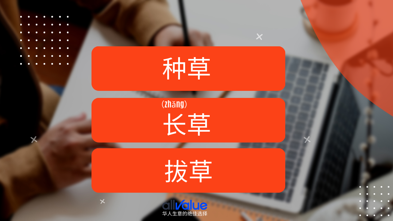 內(nèi)容與商業(yè)相遇：小紅書，2023海外華人商家一定要抓住的商業(yè)風(fēng)向